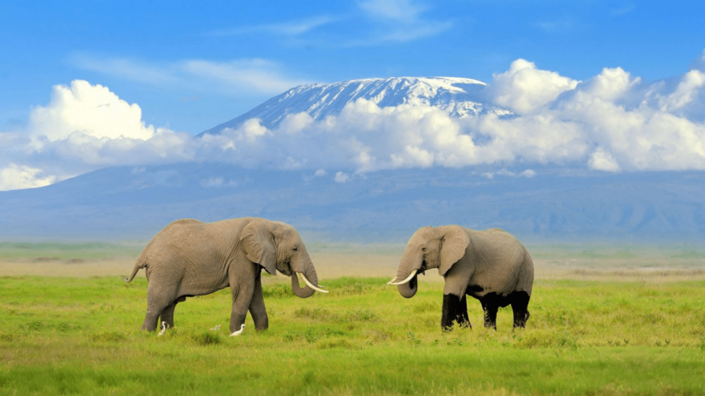 amboseli travel deals
